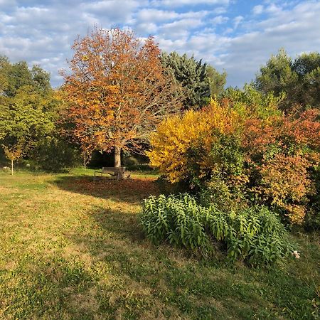 普罗旺斯地区艾克斯Le Domaine De Gaia公寓 外观 照片