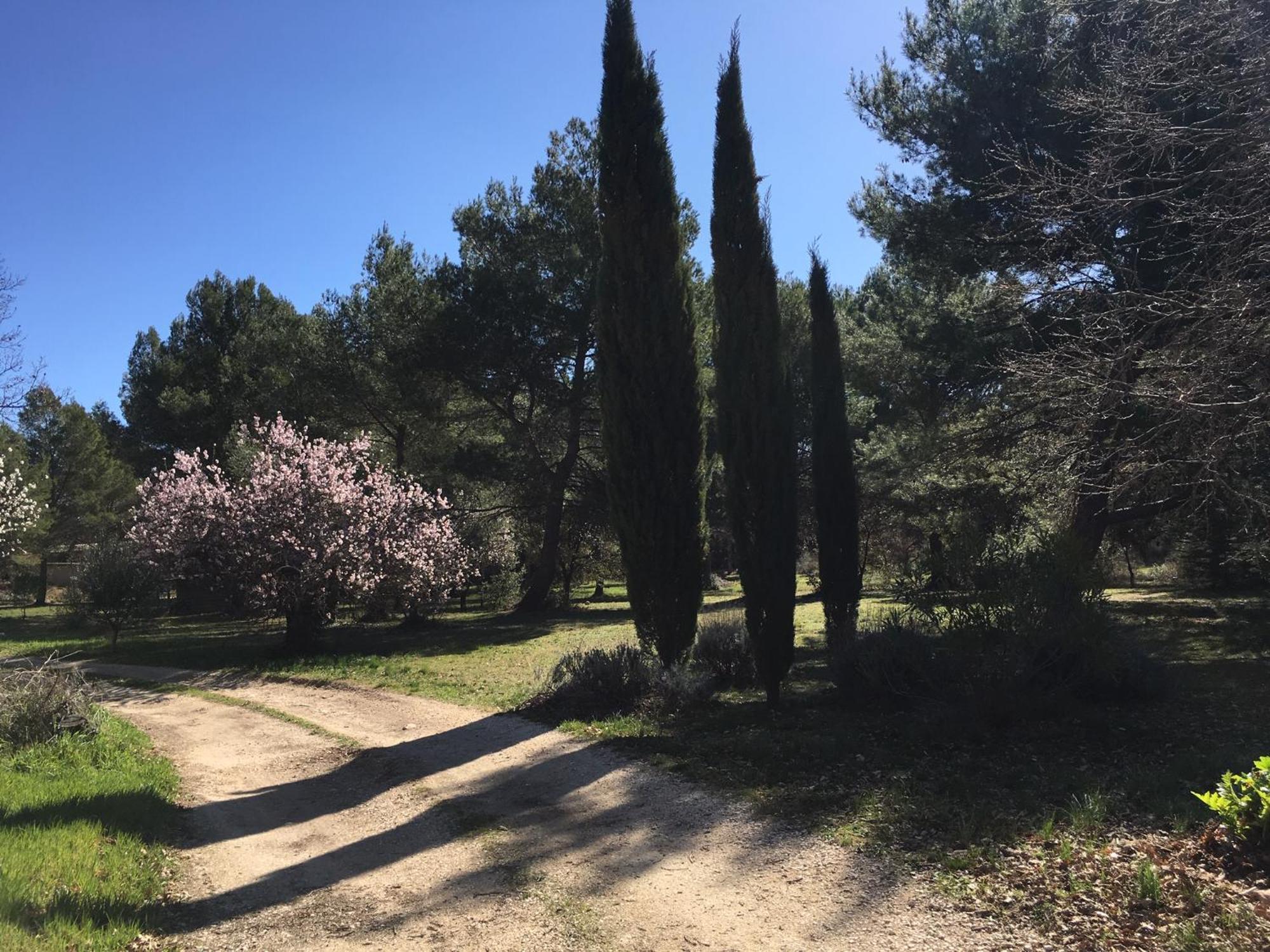 普罗旺斯地区艾克斯Le Domaine De Gaia公寓 外观 照片
